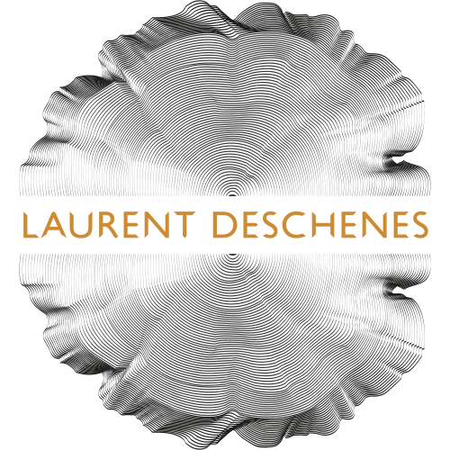Logo petit ordinateur projet digital de la Menuiserie Deschenes Paris